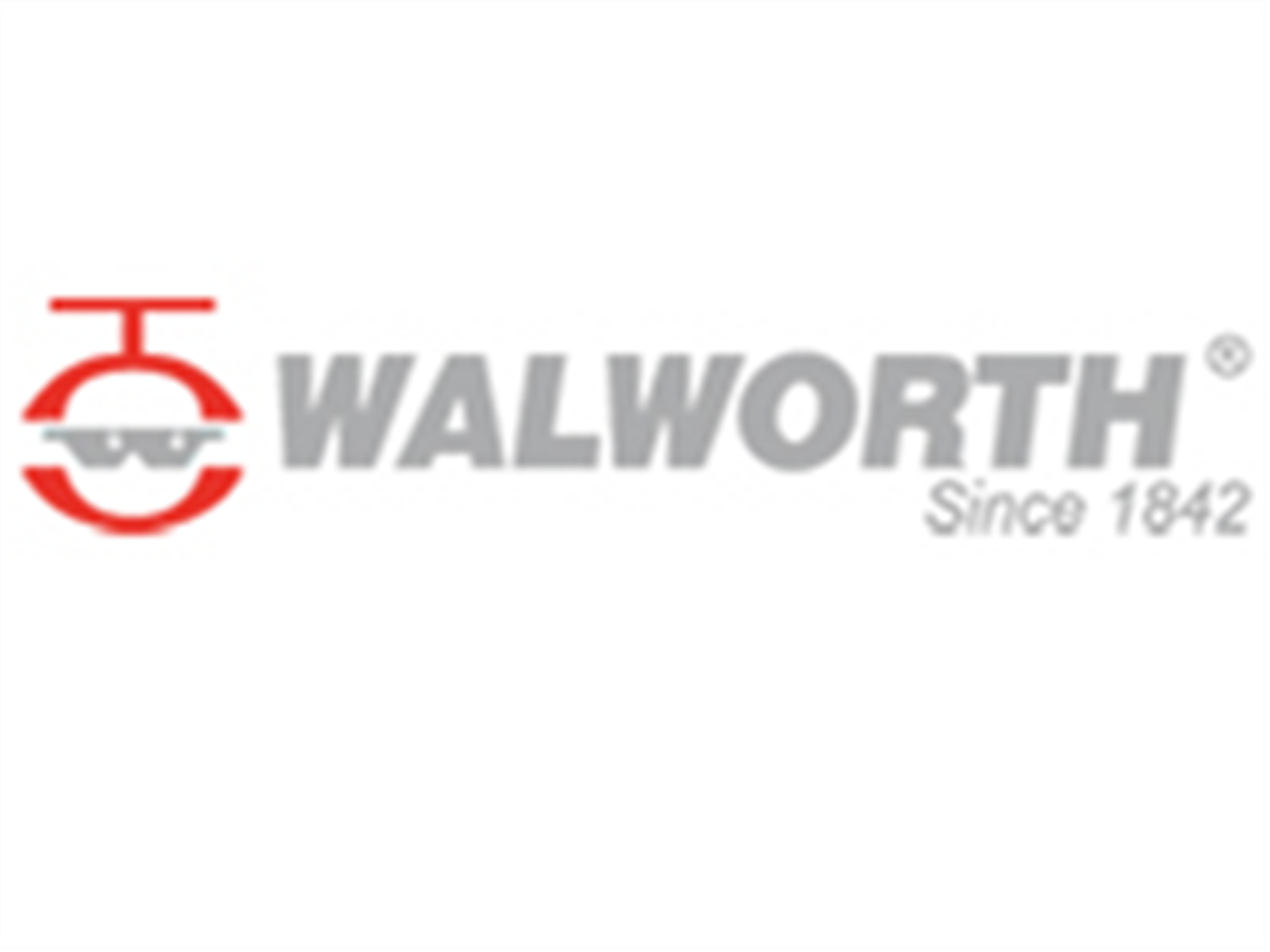 美國(guó)WALWORTH閥