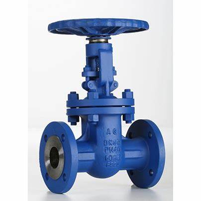 供應(yīng)意大利Valvosider閥門(mén)、過(guò)濾器